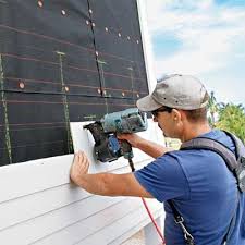 Best Siding Painting and Refinishing  in Louisa, KY